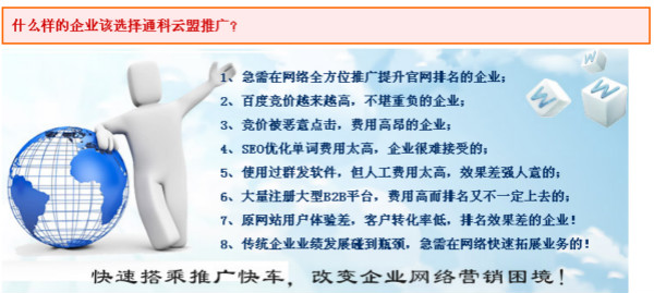 專業(yè)做網站優(yōu)化公司 專業(yè)做網站優(yōu)化公司